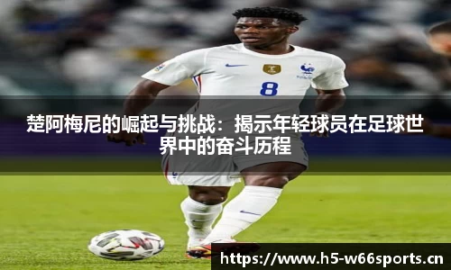 利来w66官方网站